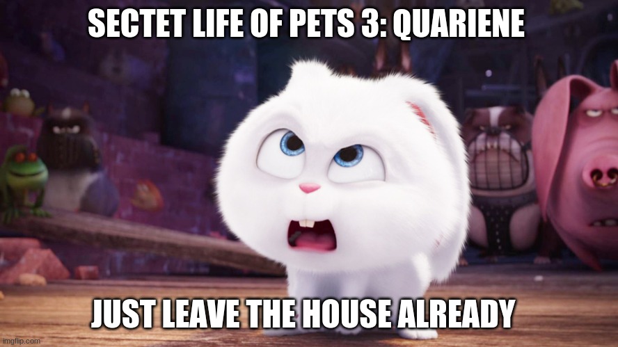 just leave | SECTET LIFE OF PETS 3: QUARIENE; JUST LEAVE THE HOUSE ALREADY | image tagged in snowball - the secret life of pets | made w/ Imgflip meme maker