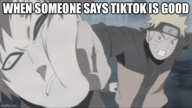 Naruto Punch | WHEN SOMEONE SAYS TIKTOK IS GOOD | image tagged in naruto punch | made w/ Imgflip meme maker