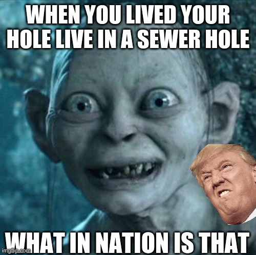 Gollum | WHEN YOU LIVED YOUR HOLE LIVE IN A SEWER HOLE; WHAT IN NATION IS THAT | image tagged in memes,gollum | made w/ Imgflip meme maker