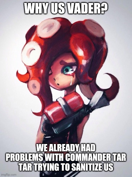 Crying Octoling | WHY US VADER? WE ALREADY HAD PROBLEMS WITH COMMANDER TAR TAR TRYING TO SANITIZE US | image tagged in crying octoling | made w/ Imgflip meme maker