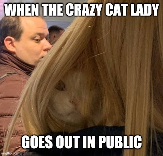 TAKE THE KITTY | WHEN THE CRAZY CAT LADY; GOES OUT IN PUBLIC | image tagged in cats,funny cats | made w/ Imgflip meme maker