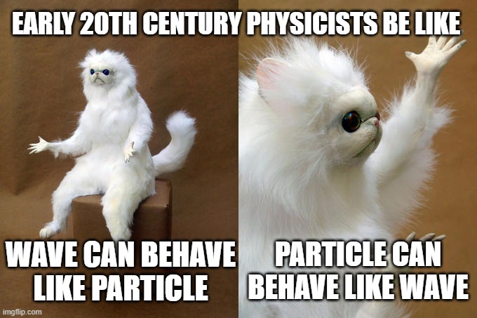 Persian Cat Room Guardian | EARLY 20TH CENTURY PHYSICISTS BE LIKE; PARTICLE CAN BEHAVE LIKE WAVE; WAVE CAN BEHAVE LIKE PARTICLE | image tagged in memes,persian cat room guardian | made w/ Imgflip meme maker