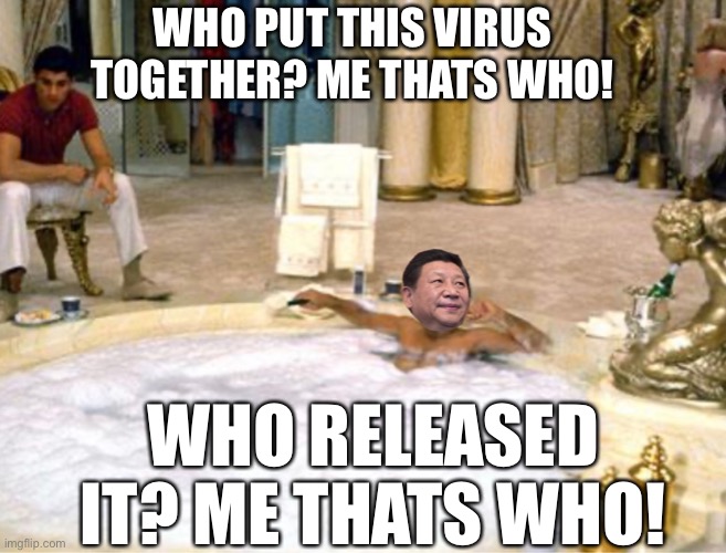 ME THATS WHO! | WHO PUT THIS VIRUS TOGETHER? ME THATS WHO! WHO RELEASED IT? ME THATS WHO! | image tagged in coronavirus,covid-19,china,made in china,donald trump,trump | made w/ Imgflip meme maker