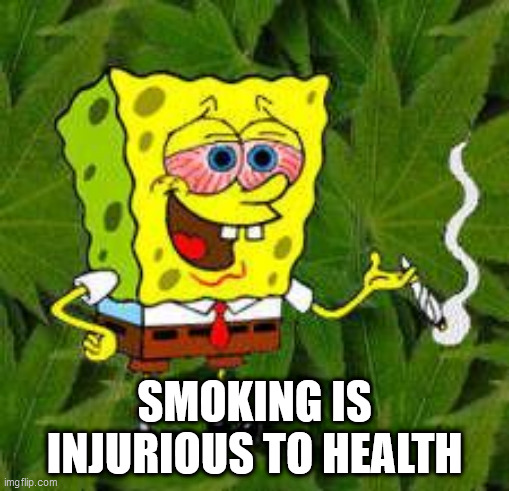Weed | SMOKING IS INJURIOUS TO HEALTH | image tagged in weed | made w/ Imgflip meme maker