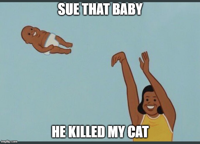 baby yeet | SUE THAT BABY; HE KILLED MY CAT | image tagged in baby yeet | made w/ Imgflip meme maker