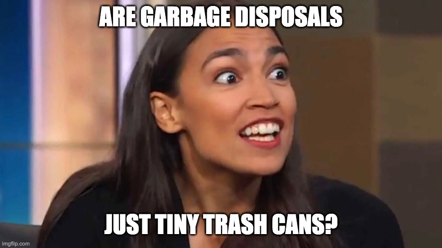 Crazy AOC | ARE GARBAGE DISPOSALS; JUST TINY TRASH CANS? | image tagged in crazy aoc | made w/ Imgflip meme maker