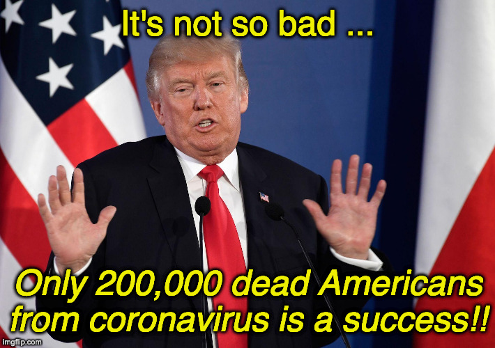Trump Not Me | It's not so bad ... Only 200,000 dead Americans from coronavirus is a success!! | image tagged in trump not me | made w/ Imgflip meme maker
