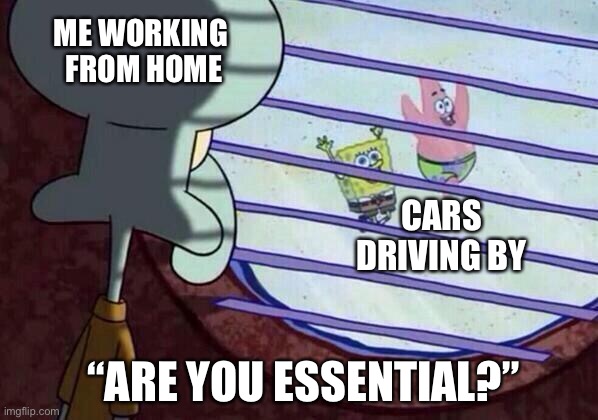 Squidward window | ME WORKING 
FROM HOME; CARS DRIVING BY; “ARE YOU ESSENTIAL?” | image tagged in squidward window | made w/ Imgflip meme maker