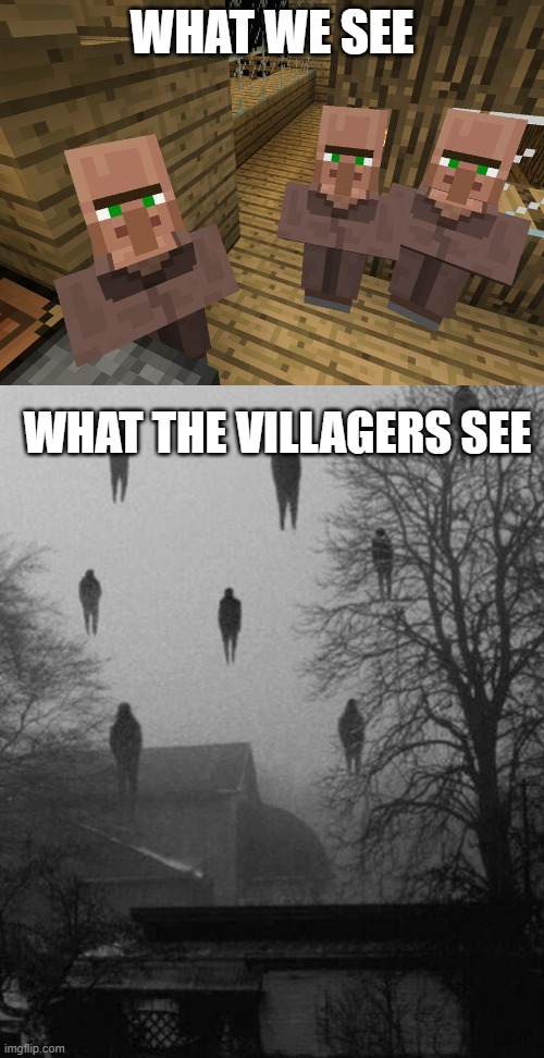 WHAT WE SEE; WHAT THE VILLAGERS SEE | image tagged in minecraft villagers,me and the boys at 3 am | made w/ Imgflip meme maker