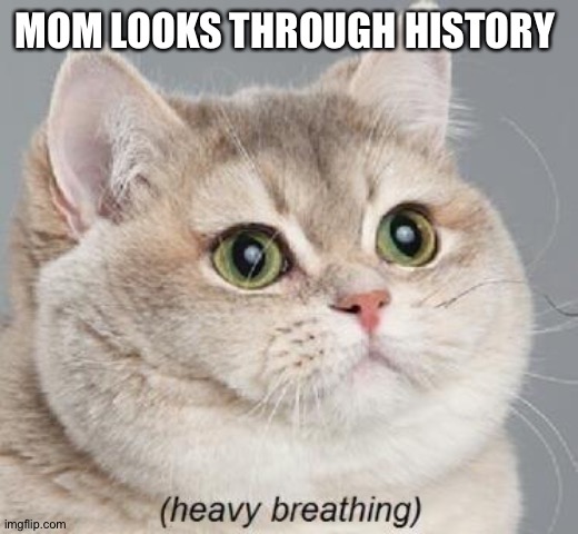 Heavy Breathing Cat | MOM LOOKS THROUGH HISTORY | image tagged in memes,heavy breathing cat | made w/ Imgflip meme maker