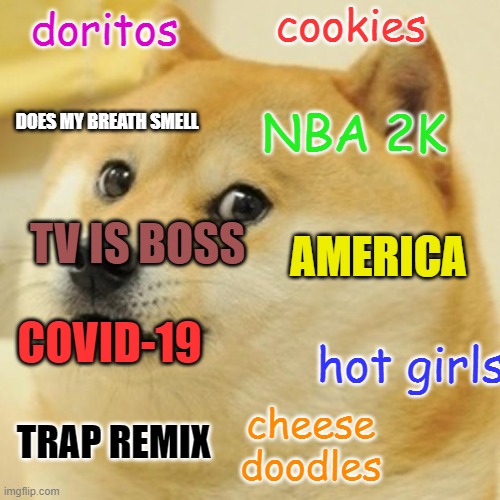 Doge | cookies; doritos; NBA 2K; DOES MY BREATH SMELL; AMERICA; TV IS BOSS; COVID-19; hot girls; TRAP REMIX; cheese doodles | image tagged in memes,doge | made w/ Imgflip meme maker
