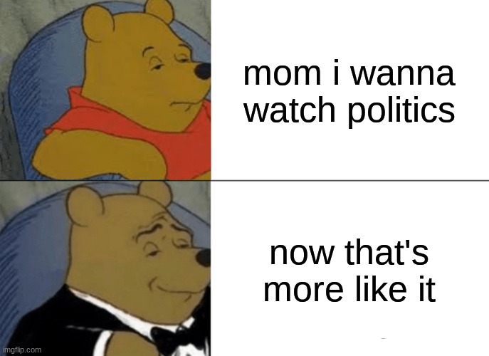 o_o | mom i wanna watch politics; now that's more like it | image tagged in memes,tuxedo winnie the pooh | made w/ Imgflip meme maker