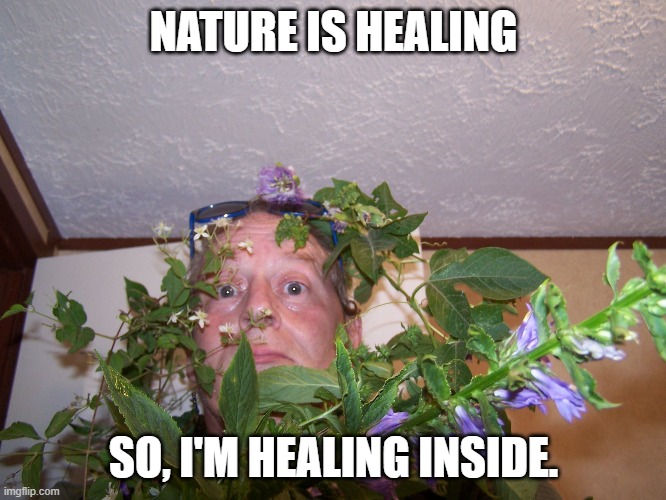 Nature is healing! | NATURE IS HEALING; SO, I'M HEALING INSIDE. | image tagged in nature is healing | made w/ Imgflip meme maker