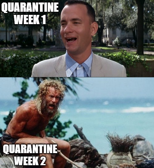 QUARANTINE
WEEK 1; QUARANTINE
WEEK 2 | made w/ Imgflip meme maker