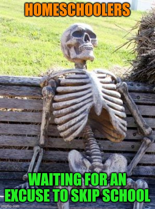 Waiting Skeleton Meme | HOMESCHOOLERS WAITING FOR AN EXCUSE TO SKIP SCHOOL | image tagged in memes,waiting skeleton | made w/ Imgflip meme maker