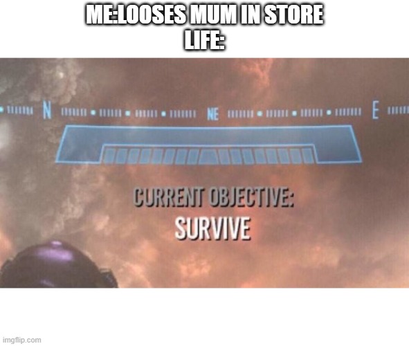 Current Objective: Survive | ME:LOOSES MUM IN STORE
LIFE: | image tagged in current objective survive | made w/ Imgflip meme maker
