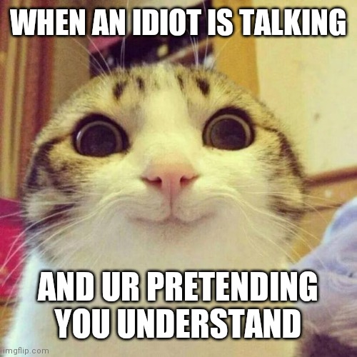 Smiling Cat | WHEN AN IDIOT IS TALKING; AND UR PRETENDING YOU UNDERSTAND | image tagged in memes,smiling cat | made w/ Imgflip meme maker