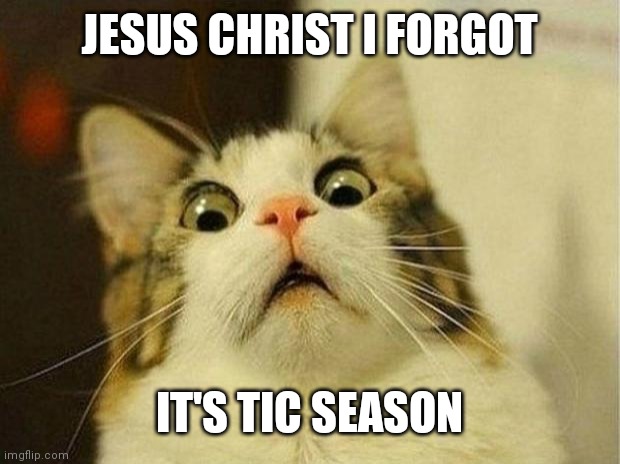 Scared Cat Meme | JESUS CHRIST I FORGOT; IT'S TIC SEASON | image tagged in memes,scared cat | made w/ Imgflip meme maker