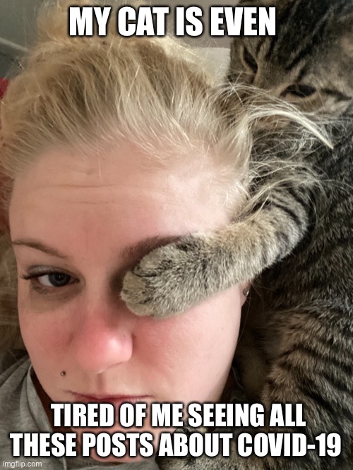 Fun | MY CAT IS EVEN; TIRED OF ME SEEING ALL THESE POSTS ABOUT COVID-19 | image tagged in funny | made w/ Imgflip meme maker