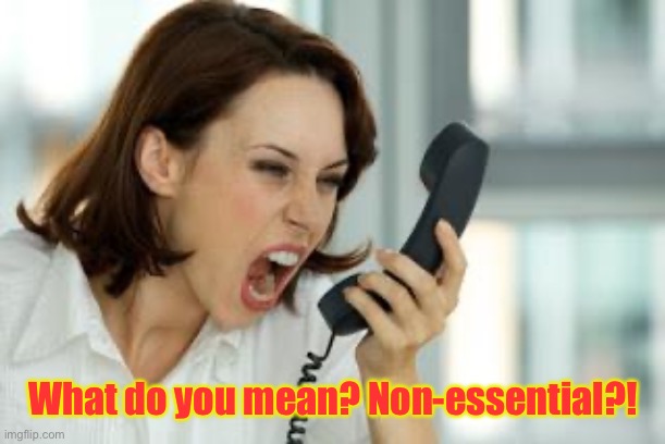 Angry woman | What do you mean? Non-essential?! | image tagged in angry woman | made w/ Imgflip meme maker