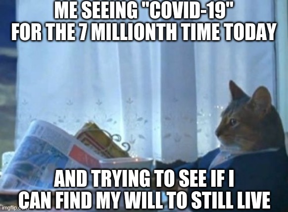 I Should Buy A Boat Cat | ME SEEING "COVID-19" FOR THE 7 MILLIONTH TIME TODAY; AND TRYING TO SEE IF I CAN FIND MY WILL TO STILL LIVE | image tagged in memes,i should buy a boat cat | made w/ Imgflip meme maker