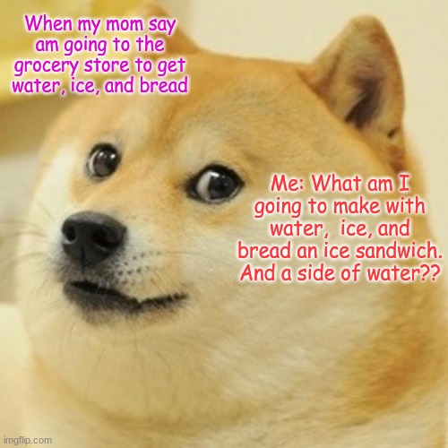 Doge | When my mom say am going to the grocery store to get water, ice, and bread; Me: What am I going to make with water,  ice, and bread an ice sandwich. And a side of water?? | image tagged in memes,doge | made w/ Imgflip meme maker