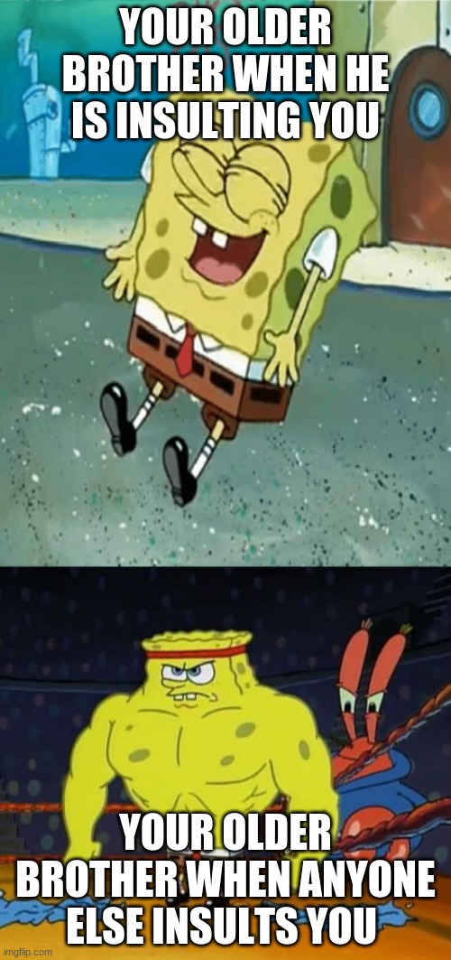 YOUR OLDER BROTHER WHEN HE IS INSULTING YOU; YOUR OLDER BROTHER WHEN ANYONE ELSE INSULTS YOU | image tagged in life | made w/ Imgflip meme maker