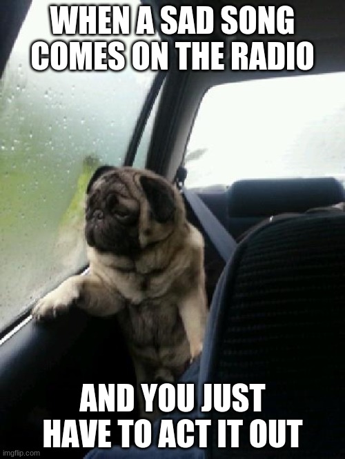 Introspective Pug | WHEN A SAD SONG COMES ON THE RADIO; AND YOU JUST HAVE TO ACT IT OUT | image tagged in introspective pug | made w/ Imgflip meme maker