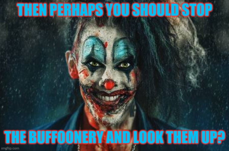 w | THEN PERHAPS YOU SHOULD STOP THE BUFFOONERY AND LOOK THEM UP? | made w/ Imgflip meme maker