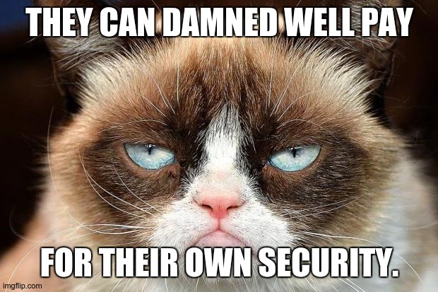 Grumpy Cat Not Amused Meme | THEY CAN DAMNED WELL PAY FOR THEIR OWN SECURITY. | image tagged in memes,grumpy cat not amused,grumpy cat | made w/ Imgflip meme maker