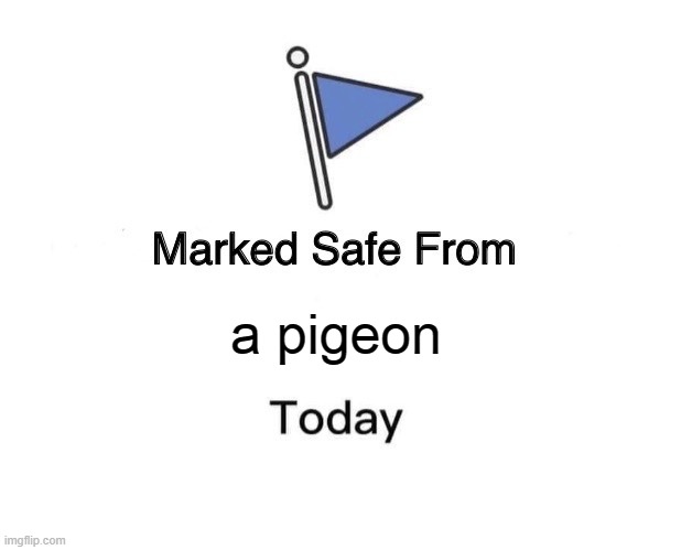 Marked Safe From | a pigeon | image tagged in memes,marked safe from | made w/ Imgflip meme maker