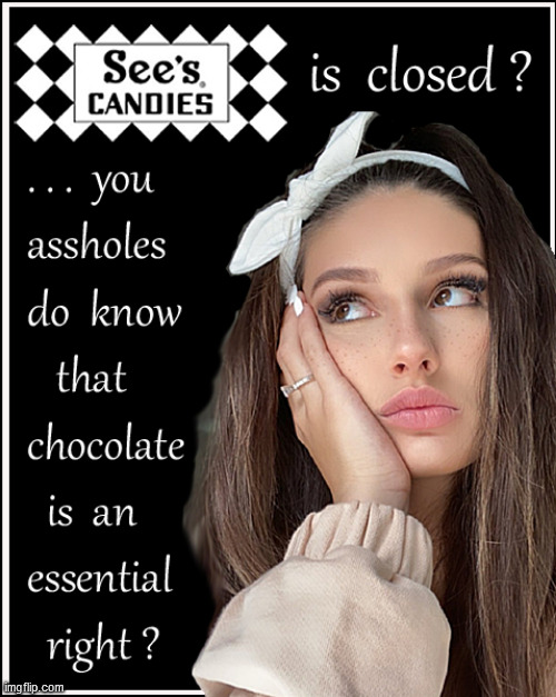 Chocolate IS Essential - A-holes | image tagged in chocolate,babes,lol,funny,so true memes,coronavirus | made w/ Imgflip meme maker