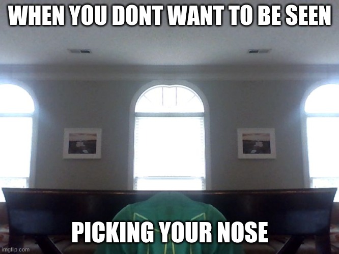WHEN YOU DONT WANT TO BE SEEN; PICKING YOUR NOSE | image tagged in memes,so true memes | made w/ Imgflip meme maker