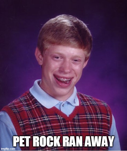Bad Luck Brian Meme | PET ROCK RAN AWAY | image tagged in memes,bad luck brian | made w/ Imgflip meme maker