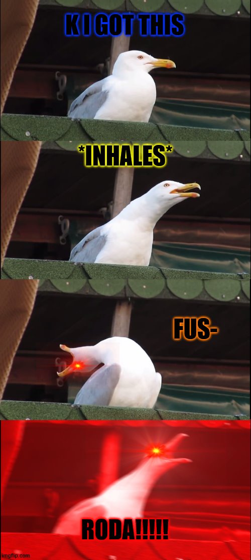 the dragon born be like(Skyrim) | K I GOT THIS; *INHALES*; FUS-; RODA!!!!! | image tagged in memes,inhaling seagull | made w/ Imgflip meme maker