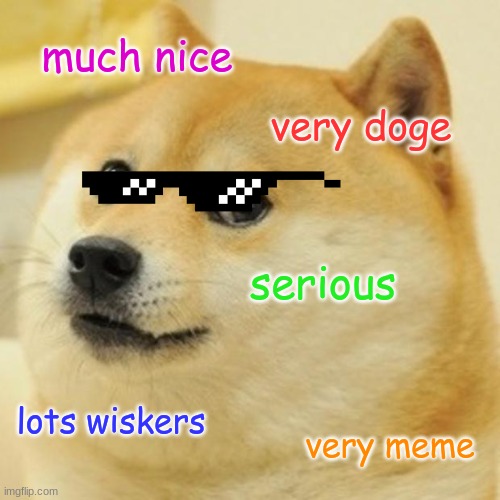 Doge Meme | much nice; very doge; serious; lots wiskers; very meme | image tagged in memes,doge | made w/ Imgflip meme maker
