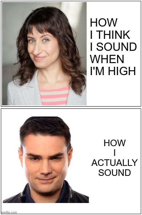 Blank Comic Panel 1x2 Meme | HOW 
I THINK 
I SOUND
WHEN
I'M HIGH; HOW
I
ACTUALLY
SOUND | image tagged in memes,blank comic panel 1x2 | made w/ Imgflip meme maker