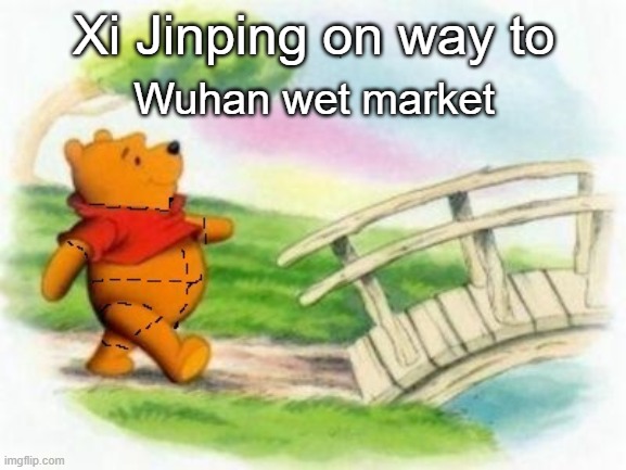 Held Accountable | Xi Jinping on way to; Wuhan wet market | image tagged in ccp wuhan virus,xi jinping | made w/ Imgflip meme maker