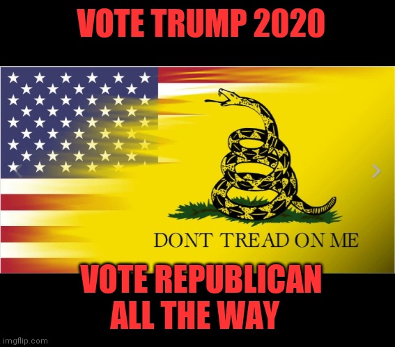 VOTE TRUMP 2020 VOTE REPUBLICAN ALL THE WAY | made w/ Imgflip meme maker