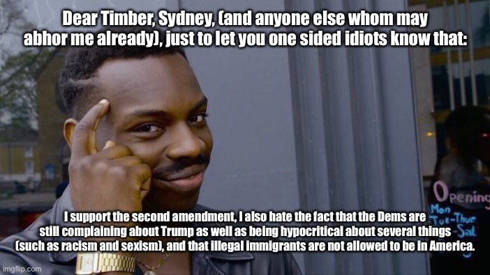 Roll Safe Think About It | Dear Timber, Sydney, (and anyone else whom may abhor me already), just to let you one sided idiots know that:; I support the second amendment, I also hate the fact that the Dems are still complaining about Trump as well as being hypocritical about several things (such as racism and sexism), and that illegal immigrants are not allowed to be in America. | image tagged in roll safe think about it,democrats,republicans,logic,second amendment,illegal immigration | made w/ Imgflip meme maker
