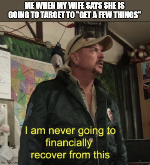 My Wife LOVES Target | ME WHEN MY WIFE SAYS SHE IS GOING TO TARGET TO "GET A FEW THINGS" | image tagged in joe exotic financially recover,finance,target | made w/ Imgflip meme maker