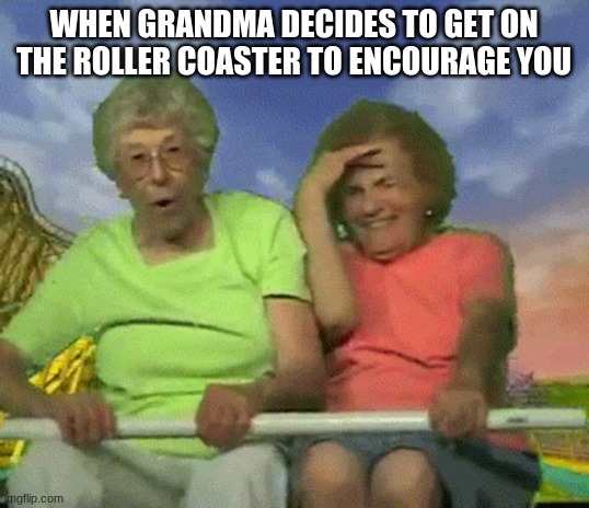 DANG | WHEN GRANDMA DECIDES TO GET ON THE ROLLER COASTER TO ENCOURAGE YOU | image tagged in funny meme,cool | made w/ Imgflip meme maker