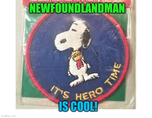 NEWFOUNDLANDMAN IS COOL! | made w/ Imgflip meme maker