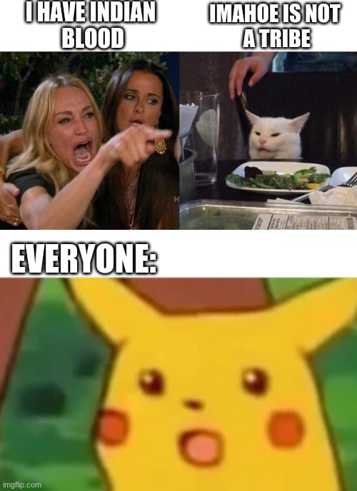 OOF | I HAVE INDIAN
 BLOOD; IMAHOE IS NOT
 A TRIBE; EVERYONE: | image tagged in memes,woman yelling at cat,surprised pikachu,oof,burn | made w/ Imgflip meme maker