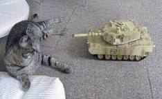 Cat and Soviet tank Blank Meme Template