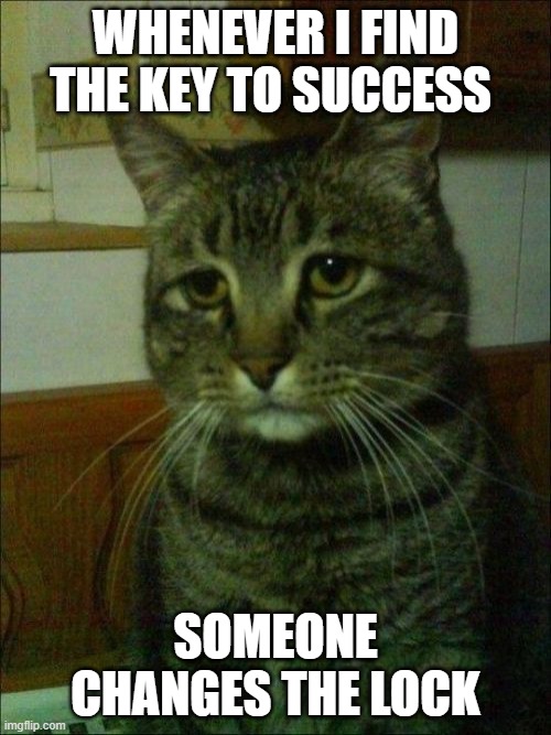 Depressed Cat | WHENEVER I FIND THE KEY TO SUCCESS; SOMEONE CHANGES THE LOCK | image tagged in memes,depressed cat | made w/ Imgflip meme maker