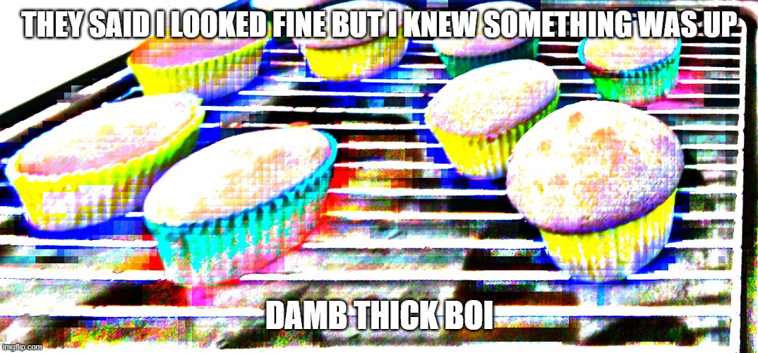 Mmmmm | THEY SAID I LOOKED FINE BUT I KNEW SOMETHING WAS UP; DAMB THICK BOI | image tagged in noice | made w/ Imgflip meme maker