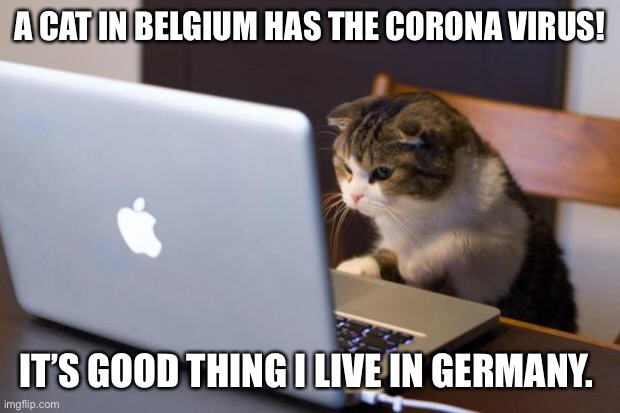 Cat using computer | A CAT IN BELGIUM HAS THE CORONA VIRUS! IT’S GOOD THING I LIVE IN GERMANY. | image tagged in cat using computer | made w/ Imgflip meme maker