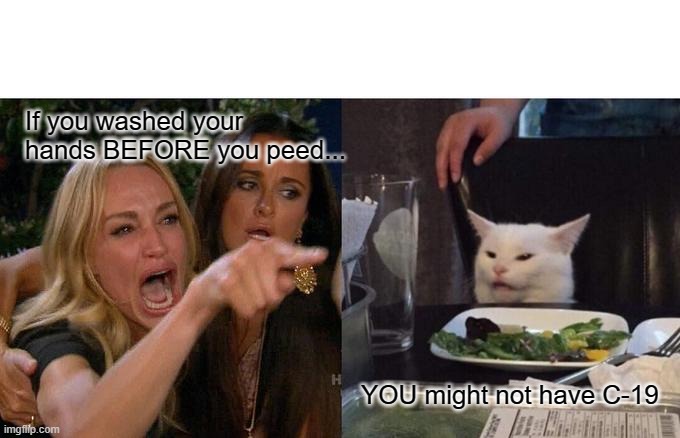 Woman Yelling At Cat Meme | If you washed your hands BEFORE you peed... YOU might not have C-19 | image tagged in memes,woman yelling at cat | made w/ Imgflip meme maker