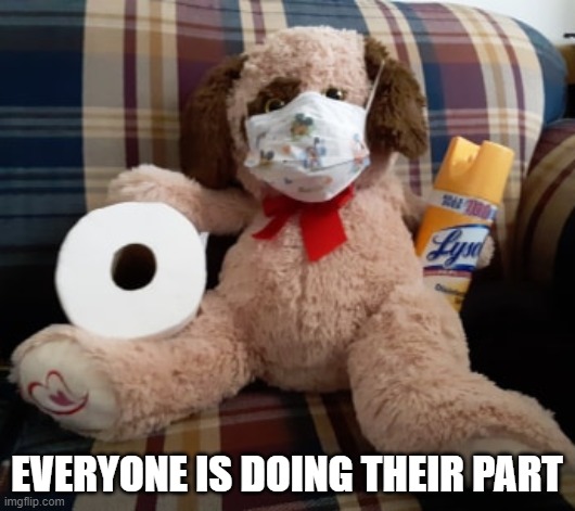 Coronavirus Toy | EVERYONE IS DOING THEIR PART | image tagged in coronavirus toy | made w/ Imgflip meme maker